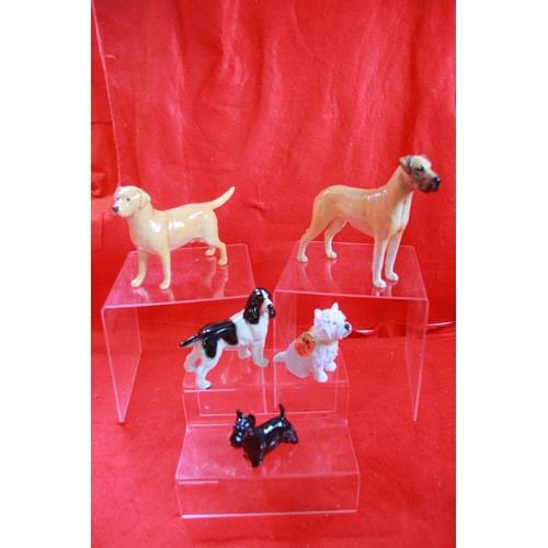 39 - 3 Beswick dogs Highland Terrier, Boxer and Labrador plus a Leonardo Collection terrier and another
