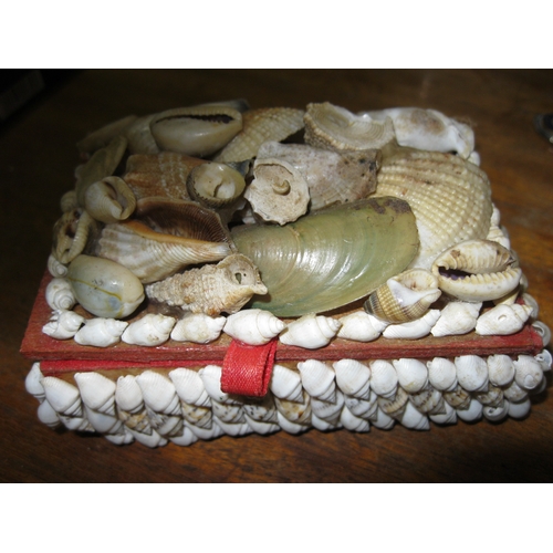 82 - A small jewellery/trinket box decorated with shells containing an assortment of jewellery and brooch... 