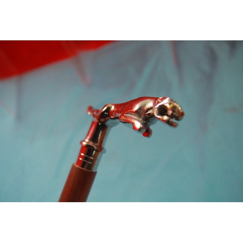 12A - Jaguar walking stick