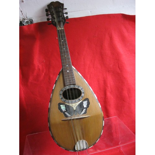 213 - A vintage mandolin in case in good order