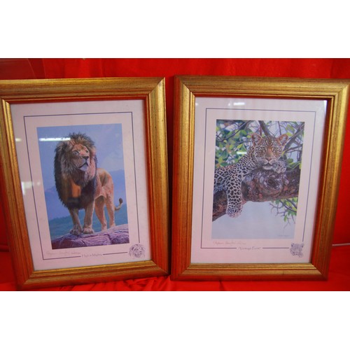 2 - A crate containing 11 signed prints by Stephen Gayford comprising African big cats including lions, ... 