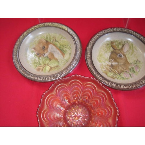 67 - X2 Purbeck Pottery plates - wildlife design, a Whitefriars style vase and other items