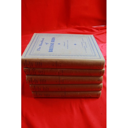 Lot 20        