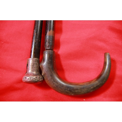 77 - Silver Topped Cane and another with Horn Handle (48)