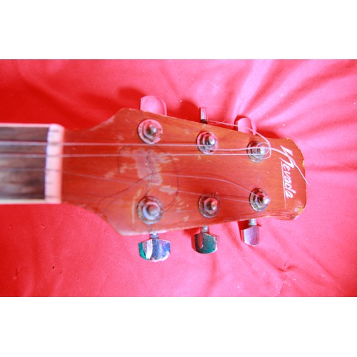 64 - A Nevada acoustic guitar