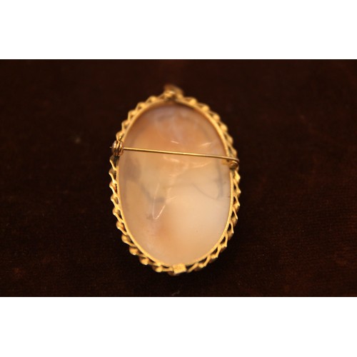 207 - A shell cameo in .800 grade silver gilt brooch frame