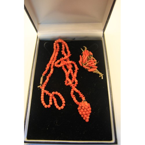 133 - An imposing coral necklace with a 9 carat gold clasp and a matching brooch, the brooch slightly a/f