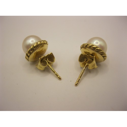 302 - 18ct Gold & Pearl Earrings 3.9g