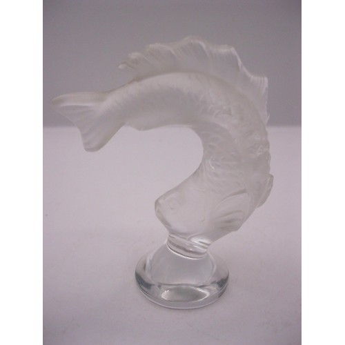 244 - A Lalique glass figure of a leaping fish signed to edge of foot rim