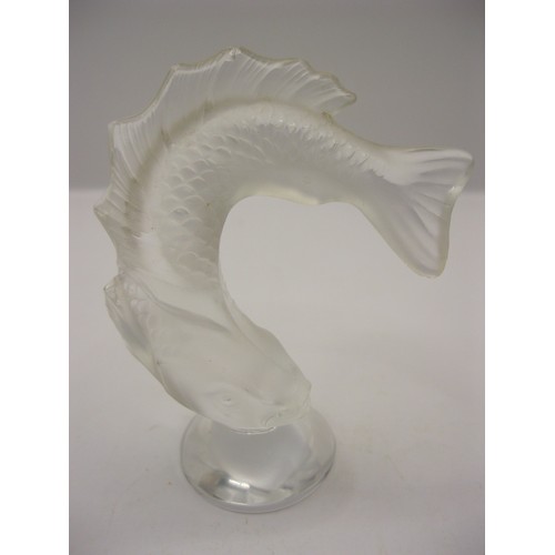 244 - A Lalique glass figure of a leaping fish signed to edge of foot rim