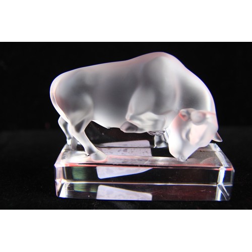 21 - A Lalique Fighting bull on glass base in immaculate condition with no nibbles of any sort.