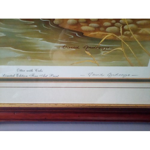 167 - Limited edition Fine Art signed print, Otter with cubs, by David Andrews, 19 inches by 17 inches