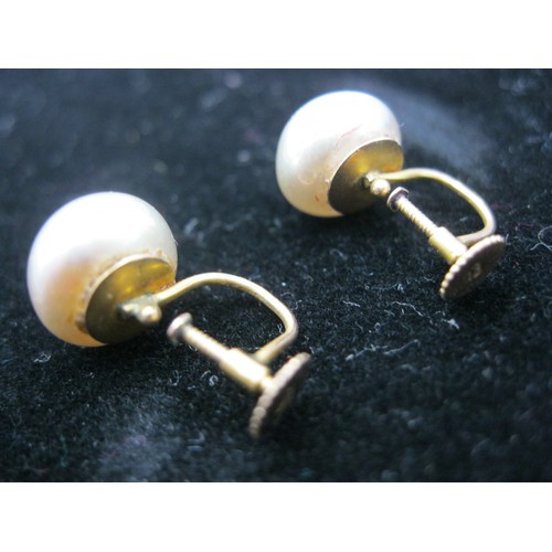 303 - A pair of 9 carat gold earrings set with a grey stone, possible moonstone or agate