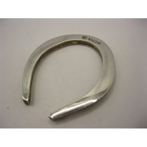 217 - A sterling silver horseshoe 2 1/4