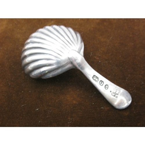 41 - Georgian Silver Shell Bowl Caddy Spoon, Hallmarked London 1795 by Smith & Fern