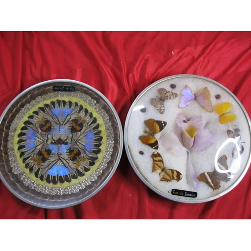 129 - A pair of plates marked Rio de Janiero and decorated - (i) with butterfly wings and (2) with butterf... 