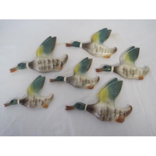 58 - Pottery wall ducks - a set of six (effectively two sets of three) mallard ducks, probably by Keele S... 