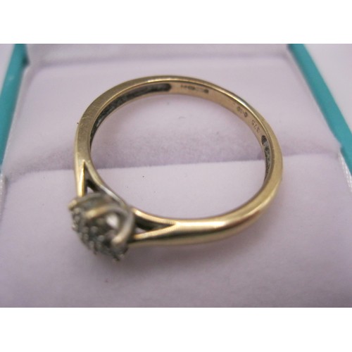 176 - A 9 carat gold diamond cluster ring, approx weight 2.03g