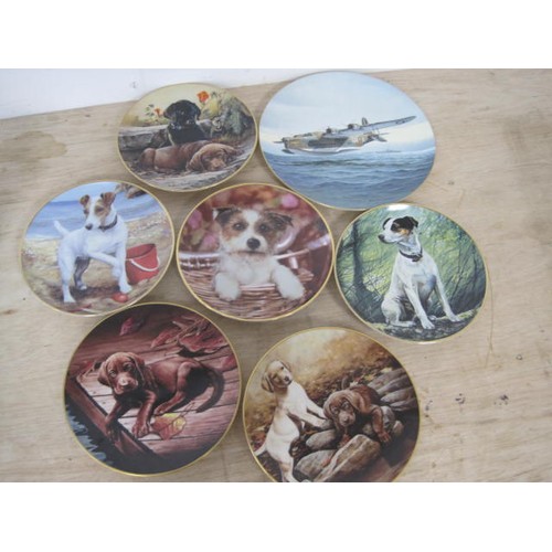 190 - A set of 6 boxed Danbury Mint collector plates featuring dogs and a Coalport plate featuring a Sunde... 