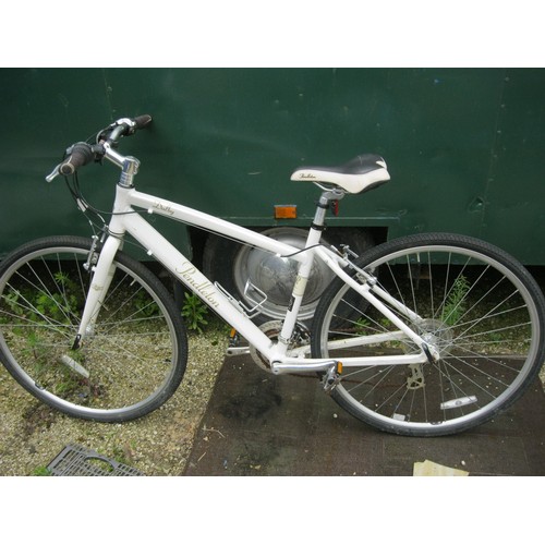 36 - A Rendleton Dalby bicycle in very good condition