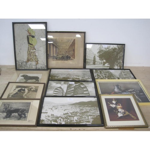 19 - Box of mixed Vintage framed Photos and Prints, including dogs