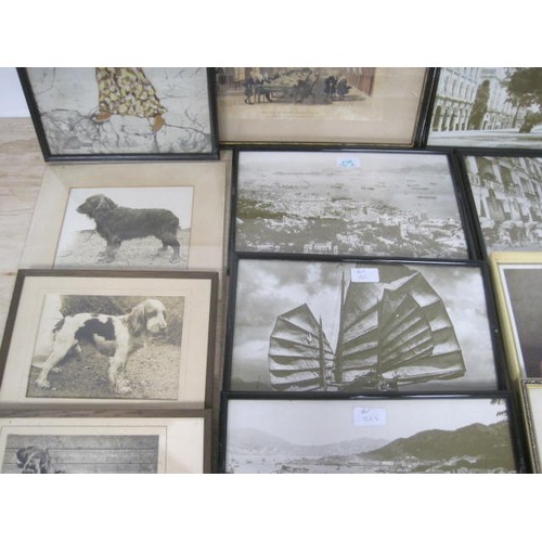 19 - Box of mixed Vintage framed Photos and Prints, including dogs