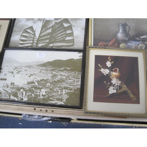 19 - Box of mixed Vintage framed Photos and Prints, including dogs