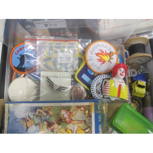 214 - A tray of interesting smaller items including Butlin's Holiday Camp tin, badges, Mumford & Sons lape... 