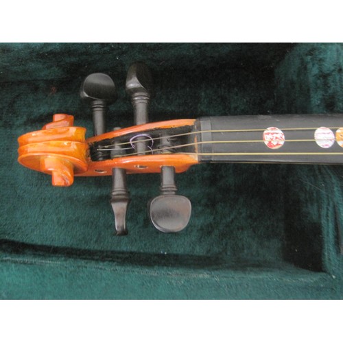 4 - Starter Violin in a Hard Case