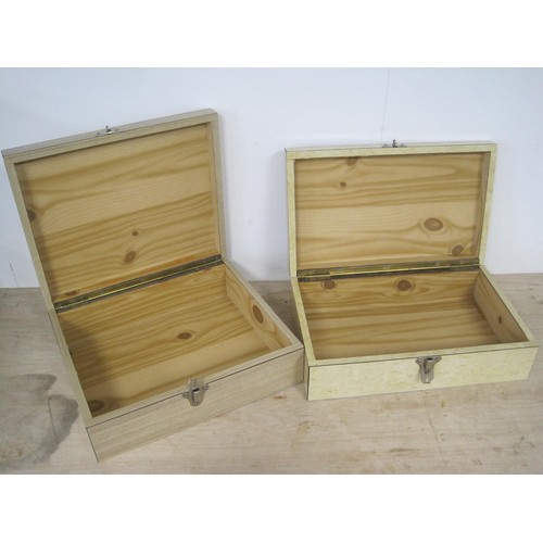 190 - A collector's chest and two storage boxes -the plywood and veneer collector's chest with hinged lid ... 