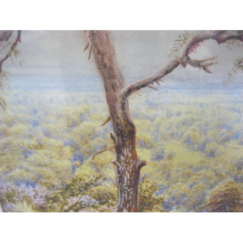 62 - Bonomi Warren - wooded landscape with hills in the distance, watercolour and whitening, signed and d... 