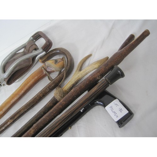 186 - A bundle of walking sticks including an example with antler handle, a shooting stick, and a bow