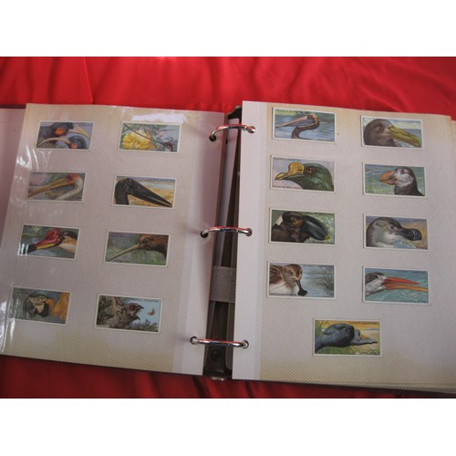 Lot 58        