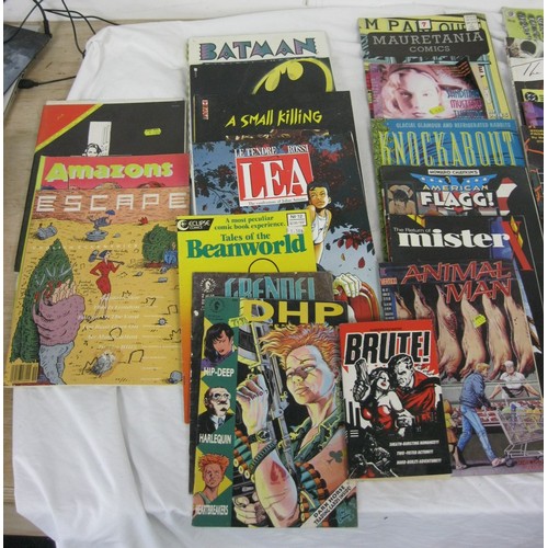 13 - Box of Comics/Graphic Novels