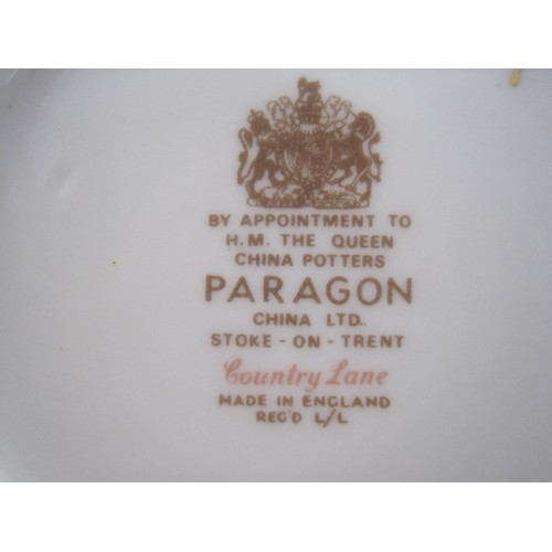 92 - A lovely Paragon Country lane Tea/Dinner set complete with teapot 35 pieces in total all as per pict... 