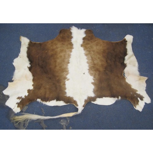 119 - A brown and white cowhide rug (a/f a few cuts and holes, inspection recommended) very approximately ... 