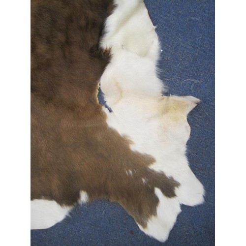 119 - A brown and white cowhide rug (a/f a few cuts and holes, inspection recommended) very approximately ... 