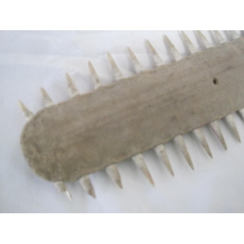 18 - A medium Sawfish Rostrum, CITES Certificate number 24GBA10Y1YX5X