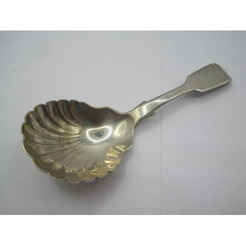 264 - A Victorian silver scallop fiddleback caddy spoon, approx. 12.7g, length about 10.1cm, marks for Exe... 