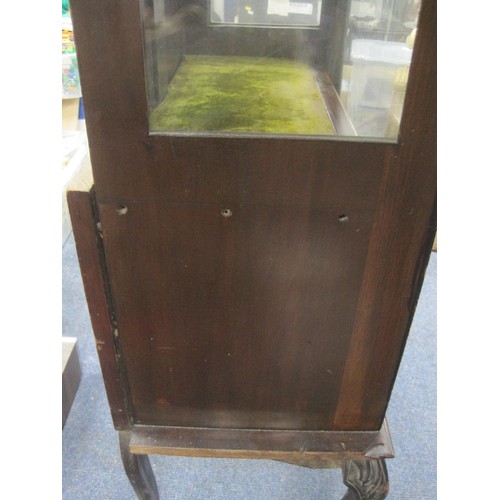 198 - A mid- to late-Victorian display cabinet, glazed, in good order