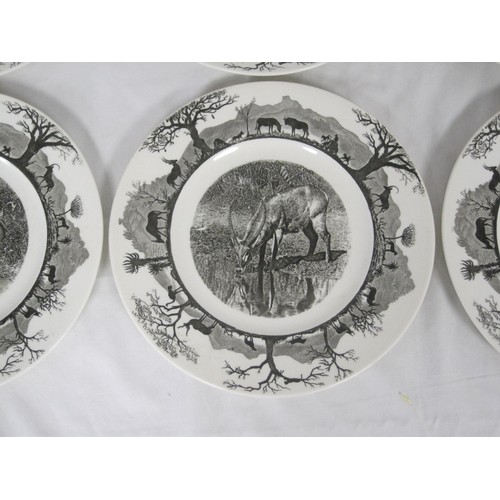 128 - A set of 6 Wedgwood African animal plates for the World Wildlife Fund, to include elephant, giraffe ... 