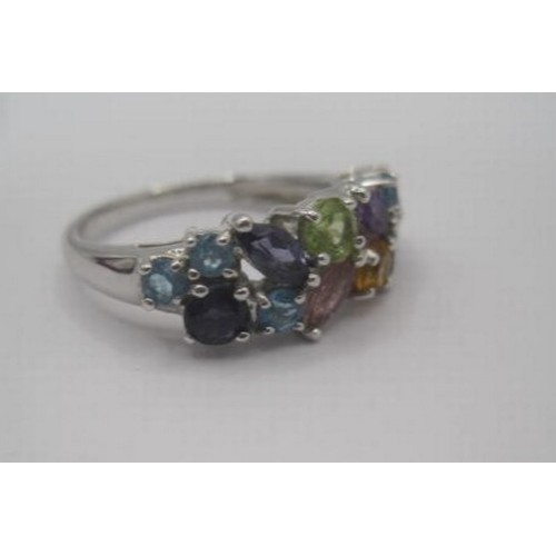 251 - A 9 carat imported white gold dress ring set with multi-colour stones. Thirteen stones of round and ... 