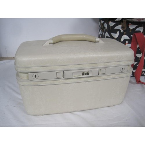 19 - A Samsonite vanity case, together with an assortment of insulated picnic bags and small travel bags.... 