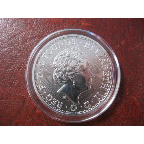 319 - A 2019 Queen Elizabeth II .999 silver 1 ounce Britannia £2 coin, encapsulated, mint condition