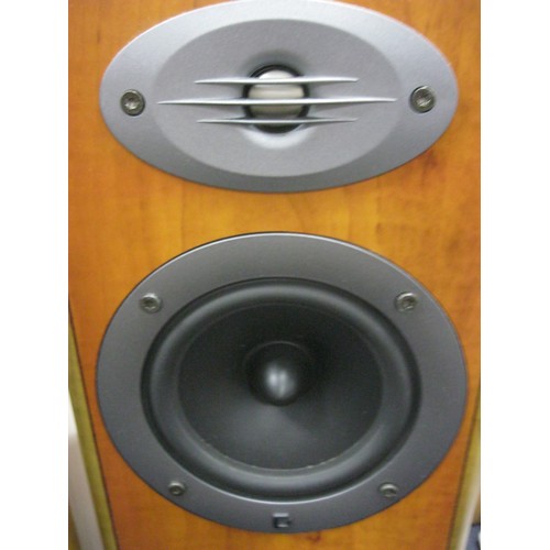 123 - A pair of floor standing Celestion F20 Speakers in immaculate condition and full working order