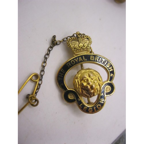 3 - A 9 carat gold Royal British Legion badge with safety chain numbered G10910, approx weight 5.48g, pl... 