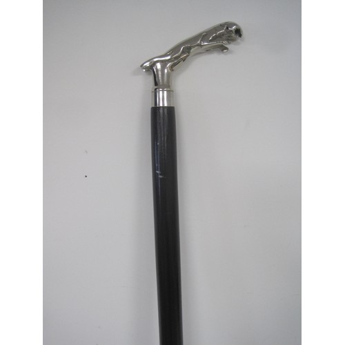 207 - Jaguar Walking Stick