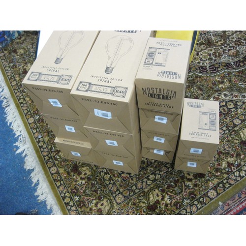 135 - Set of 12 'Nostalgia' Large Lightbulbs