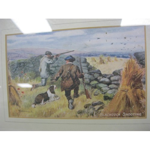 16 - A framed and glazed collection of 6 Edwardian Tuck's postcards featuring hunting scenes, all postall... 