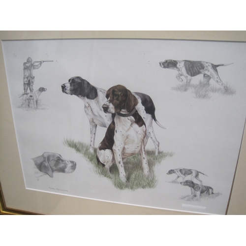 174 - A framed and glazed print of English Pointers by Nigel Hemming, in good order